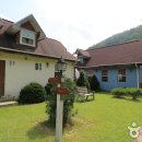 안개자니펜션 이미지