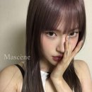 딥센느 네이버블로그