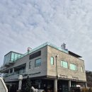 선재식품 | 대부도 펜션 선재해림 풀빌라 온수풀 내돈내산 두번째 방문 후기