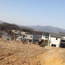 나무와 숲 어린이집 이미지