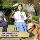 정치농장 이미지