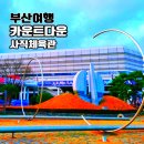 대승체육관 | 부산 KCC 2026 카운트다운 행사 KBL 농구영신 사직체육관 CGV 관람 정보