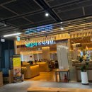 바르미동대구스시 | 대구 동성로 바르미스시샤브 동성로점 후기｜스시와 샤브샤브를 한 번에 동성로 맛집