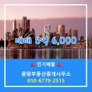 몽땅부동산중개사무소 이미지