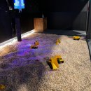 워너짐 장전 | [워너두 칠드런스 뮤지엄] 서울근교/시흥 아이랑 갈만한 대형 키즈 카페 내돈내산 솔직 후기