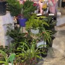 산호대로35길 | 구미 옥계꽃집 플로드제이 졸업식 꽃다발 재방문할 수밖에 없는 꽃 퀄리티