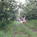 지수농원 이미지