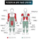 원펀맨운동 2,3일차 후기