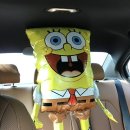 씨유전주제일점 | ☀️ 전주 가볼만한 곳 - 전주 동물원 후기 ( 달수 보고 옴 🦦 , 가격 , 아이랑 ㅇ , 애견동반 x ) ⭐️