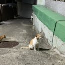 채움늘풀빌라 이미지