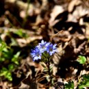 이마당약수터 이미지