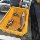 피스키나풀빌라2 이미지