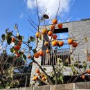 구리둘레길(1코스) 이미지