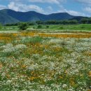 일단지공원 이미지