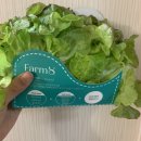 새싹3호농장 | Farm8) 메트로팜 들어보셨나요??