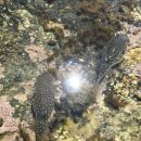 청해민박 이미지