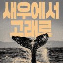 고래로 이미지