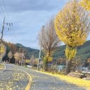 나비환상곡 이미지