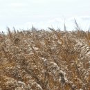 2011스케치 이미지