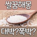 어젯밤 꿨던 쌀꿈해몽이 궁금하셨죠? 이미지