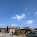 토박이 | 춘천 닭갈비 맛집?? 관광객 필수코스라는 통나무집 닭갈비 춘천토박이의 솔직후기 (대기+맛)