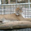 동현농장2 이미지