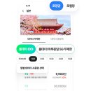 도깨비통신 | 로밍도깨비 eSIM 후기와 사용법, 해외여행 데이터 준비 팁