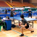 보성 다향체육관 이미지