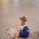 삼룡이네 이미지