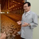 웅양면-31 이미지