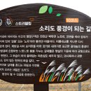 DMZ 평화의 길 11코스 이미지