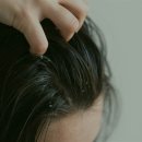 비온성형외과의원
