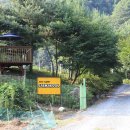 새막골 캠프 이미지