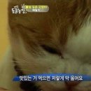 레브정