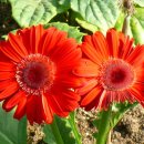 대흥동 주민센터 이미지