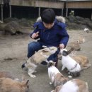 올래놀래 | 제주 올래놀래 테마파크 방문후기