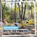 동산자연유치원 이미지