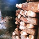 함평해수찜 이미지