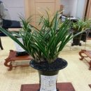 경신식품 이미지