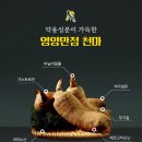 (주)천마하나로 푸드시스템 | 천마효능 제대로 알고 드시나요?무주천마 30년 연구 끝에 탄생한 ‘천마사향 OK1004’ 이야기