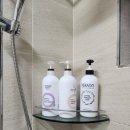 남이섬설3 이미지