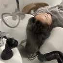 엠두피엔아트월드 | [순천 메르시엠 헤어] 순천 호수 공원 미용실 추천|밀본 스무스클리닉 후기