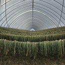 백호저수지~동리입구 | 너와 내가 아니면 누가 지키랴. 우국충정의 넋을 기리며 걷는, DMZ 평화의길 26-1코스(두타연갤러리...