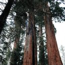 (주)큰나무 이미지