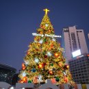 (주)삼일이엔에스 | 서울빛초롱축제 일정 위치 점등 소등 시간 입장료 후기