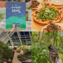 분천민박 | 봉화 여행 국립백두대간수목원 포함 가볼만한곳 봉화군농촌신활력플러스사업