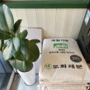 경기도 수원시 권선구 세지로112번길 47 (권선동) | 수원 권선동 놀토출연맛집 황해면옥