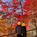 11545-10-25-30 | [경기 광주][곤지암][단풍놀이] 화담숲 2번 방문한 후기 및 비교 (22년 10월 25일, 25년 11월 14일)