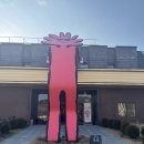 카페정원 | 🌿 자연 속 힐링 공간, 유니스정원카페 후기