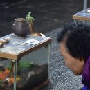 김종규 농장 이미지